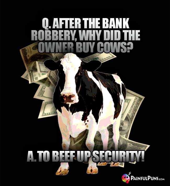 Q. After the bank robbery, why did the owner buy cows? A. To beef up security!