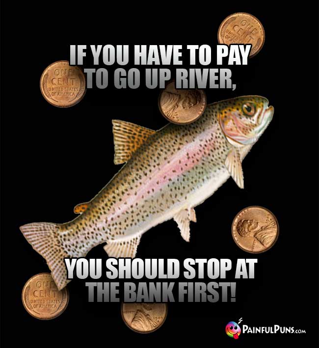 Trout Says: If you have to pay to go up river, you should stop at the bank first!