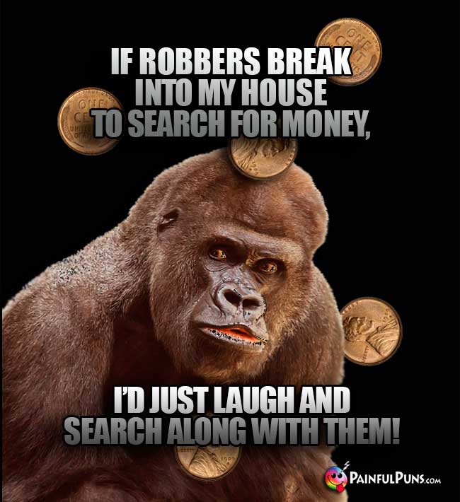 Gorilla Says: If robbers break into my house to search for money, I'd just laugh and search along with them!