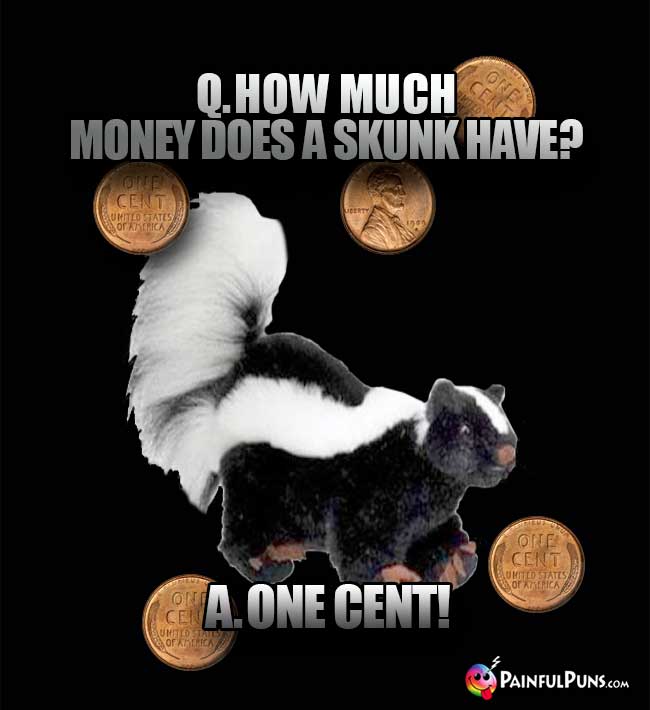 Q. How much money does a skunk have? A. One Cent!
