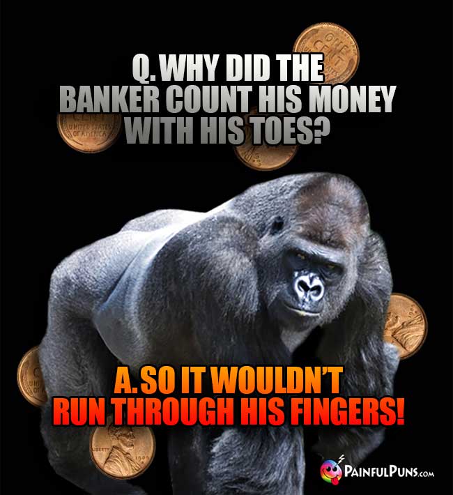 Ape Asks: Why did the banker count his money with his toes? A. So it wouldn't run through his fingers!