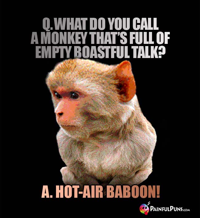 Q. What do you call a monkey that's full of empty boastful talk? A. Hot-Air Baboon!