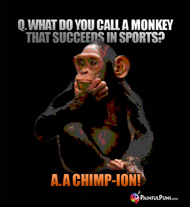 Q. What do you call a monkey that succeeds in sports? A. A Chimp-ion!