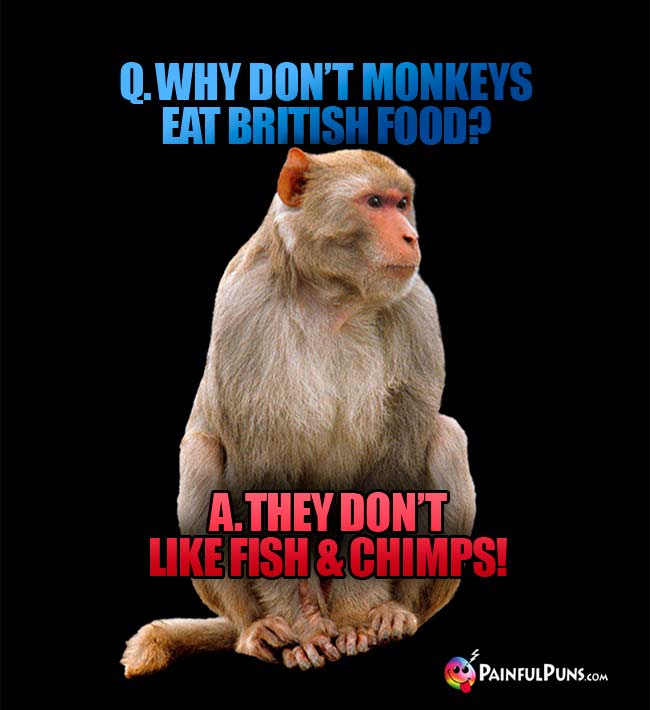Q. Why don't monkeys eat british food? A. They don't like fish and chimps!