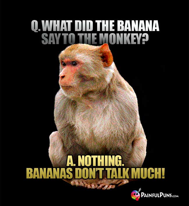 Q. What did the banana say to the monkey? A. Nothing. bananas don't talk much!