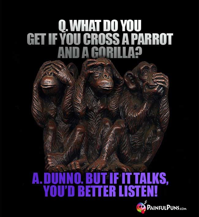 Q. What do you get if you cross a parrot and a gorilla? A. dunno, but if it talks, you'd better listen!