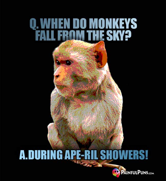 Q. When do monkeys fall from the sky? a. during Ape-ril showers!