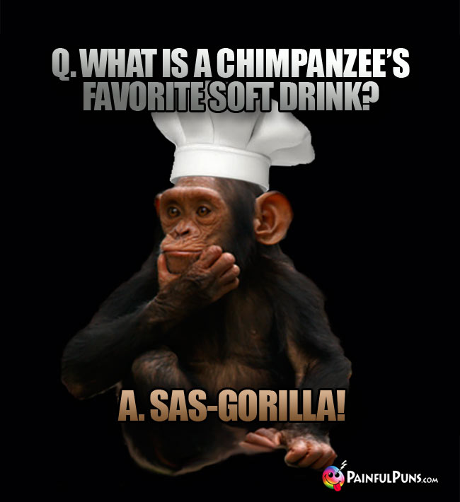 Q. What is a chimpanzee's favorite soft drink? A. Sas-Gorilla!