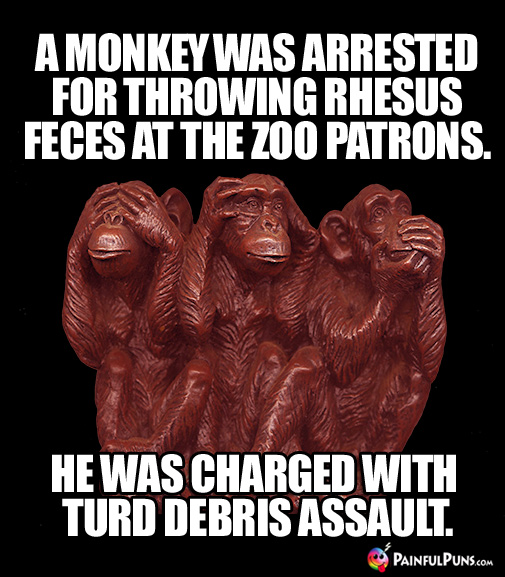 A Monkey Was Arrested for Throwing Rhesus Feces at the Patrons. He Was Charged with Turd Debris Assault.
