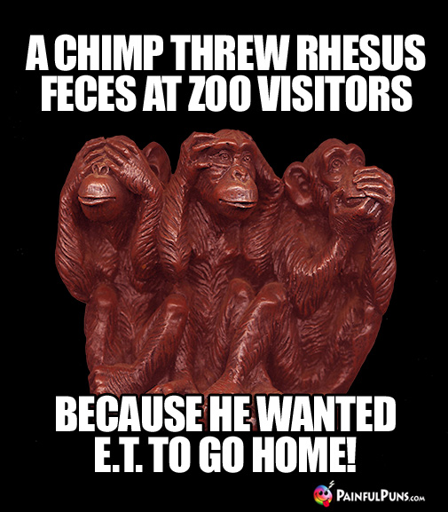 A chimp threw rhesus feces at zoo visitors because he wanted E.T. to GO Home! 