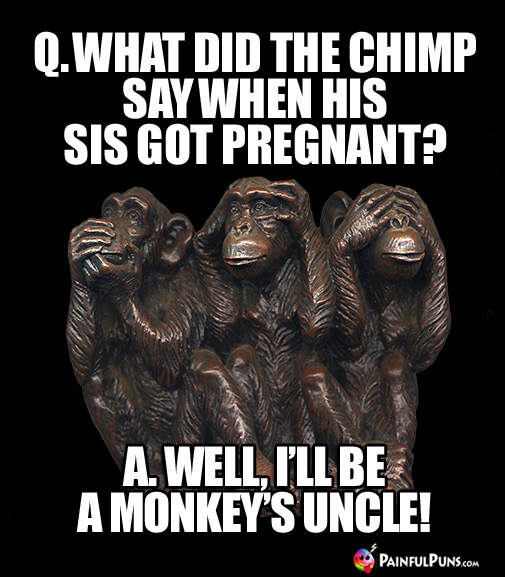 Q. What did the chimp say when his sis got pregnant? A. Well, I'll be a monkey's uncle!