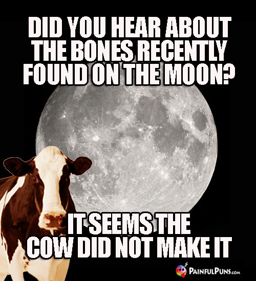 Did you hear about the bones recently found on the moon? It seems the cow did not make it.