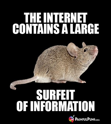 The Internet Contains a Large Surfeit of Information