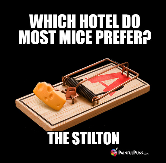 Cheesy Riddle: Which hotel do most mice prefer? The Stilton