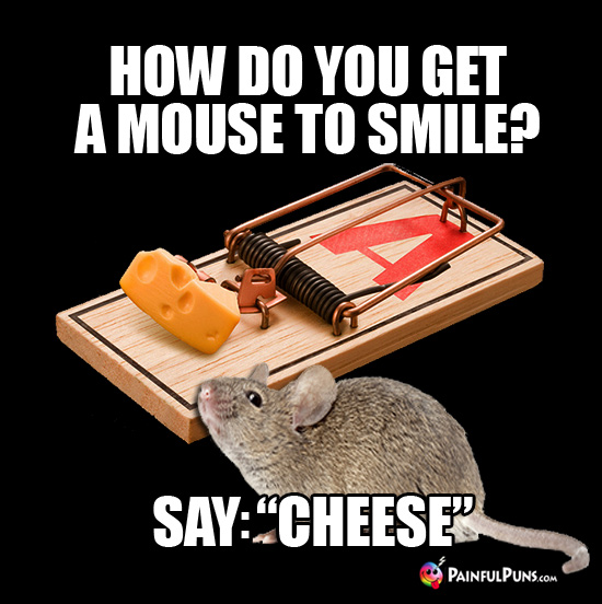 How Do You Get a Mouse to Smile? Say: "Cheese"