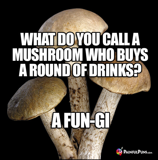 What do you call a mushroom who buys a round of drinks? A Fun-Gi