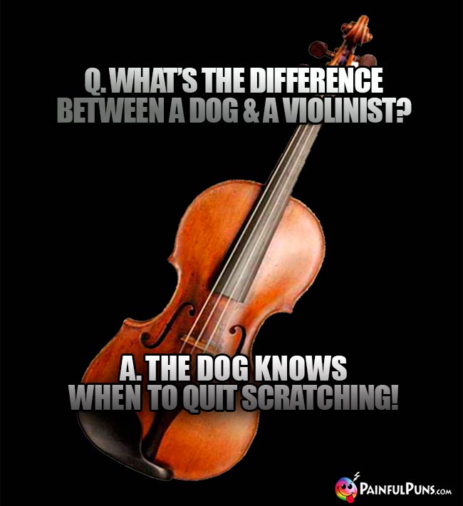 Q. What's the difference between a dog & a violinist? A. The dog knows when to quit scratching!