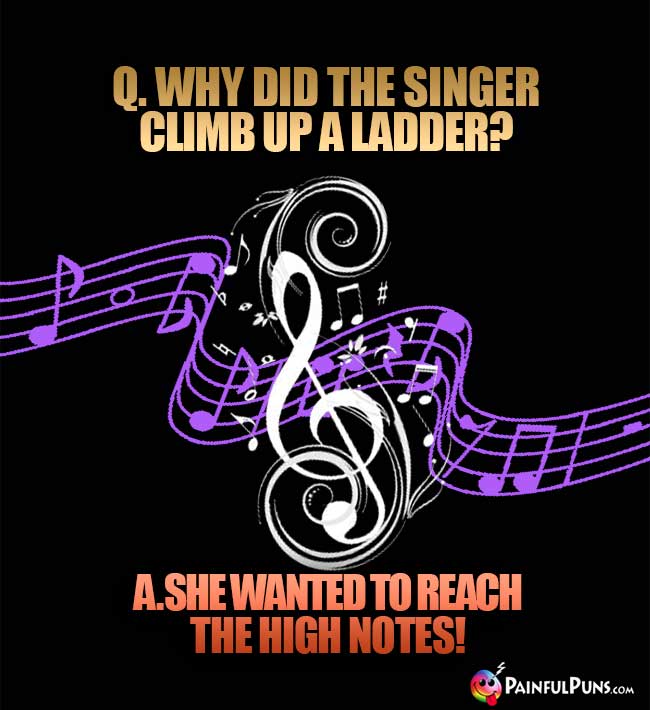 Q. Why did the singer climb up a ladder? A. She wanted to reach teh high notes!