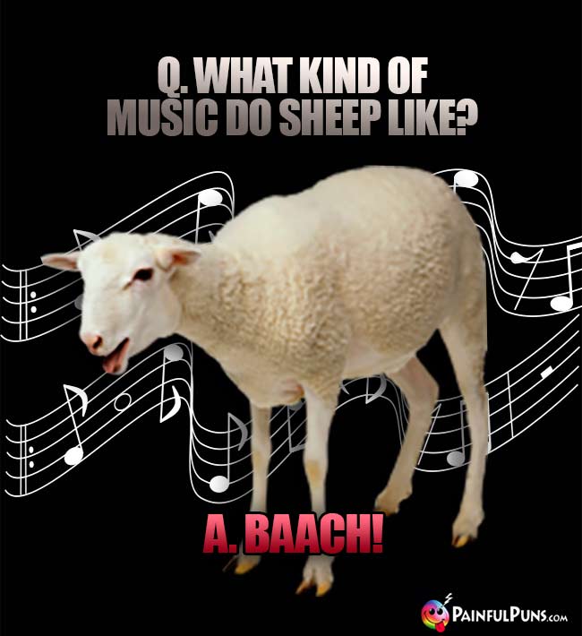 Q. What kind of music do sheep like? A. Baach!