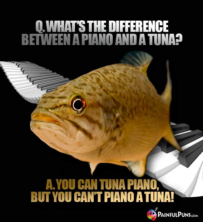 Q. What's the difference between a piano and a tuna? A. You can tuna piano, but you can't piano a tuna!