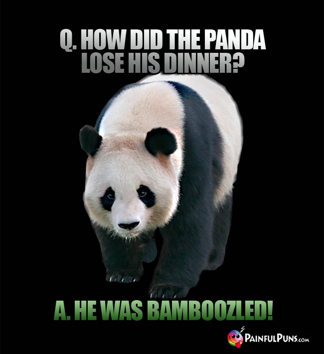 Q. How did the panda lose his dinner? A. He was bamboozled!