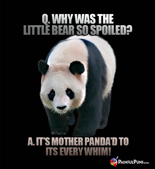 q. Why was the little bear so spoiled? A. It's mother panda'd to its every whin!