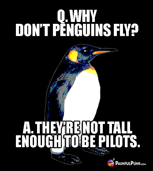 Q. Why don't penguins fly? A. They're not tall enough to be pilots.