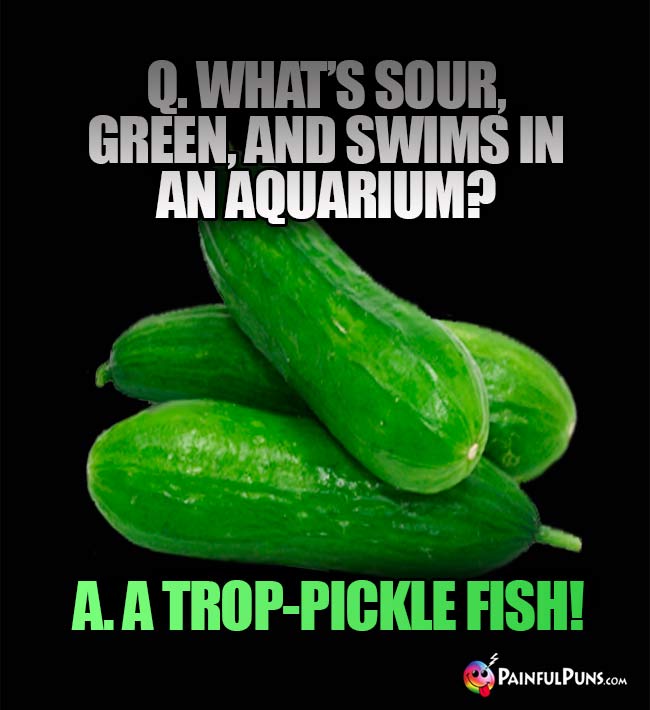 Q. What's sour, green, and swims in an aquarium? A. A trop-pickle fish!