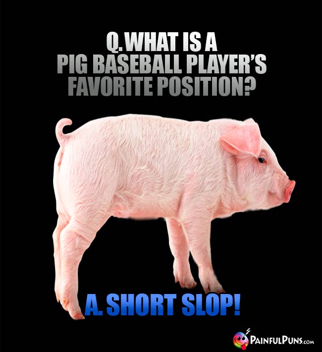 Q. What is the pig baseball player's favorite position? A. Short Slop!