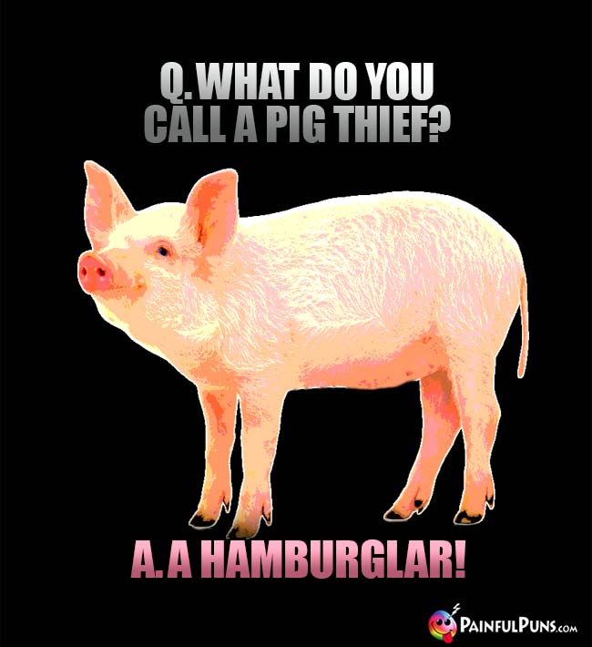 Q. What do you call a pig thief? A. A Hamburglar!