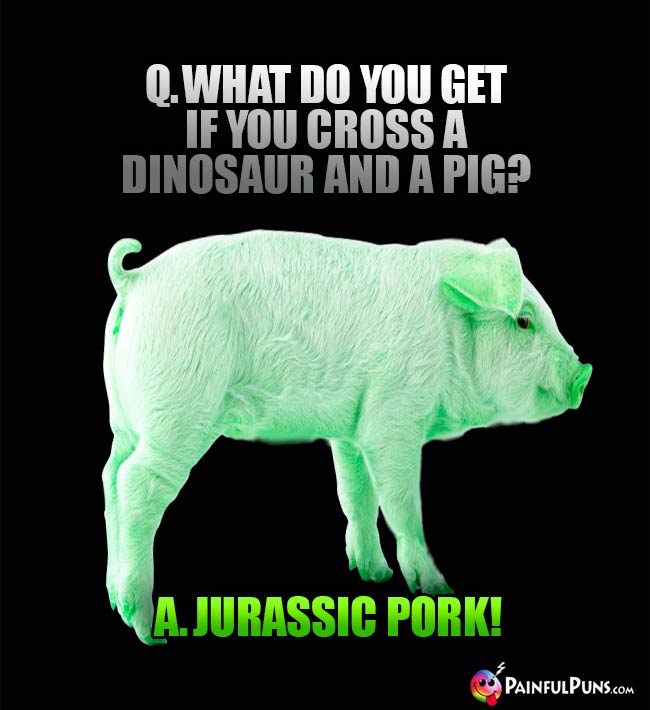 Q. What do you get if you cross a dinosaur and a pig? A. Jurassic Pork!