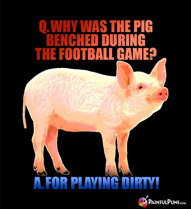 Q. Why was the pig benched during the football game? A. For playing dirty!