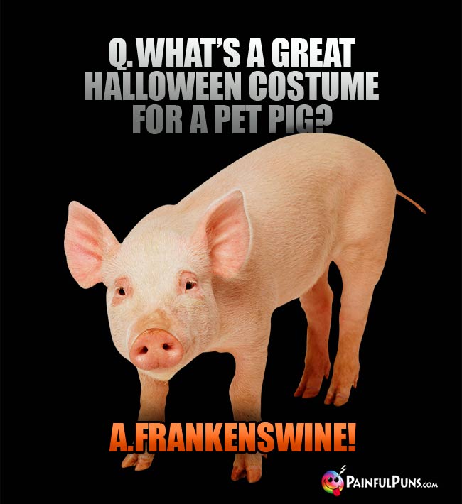 Q.. What's a great Halloween costume for a pet pig? A. Frankenswine!