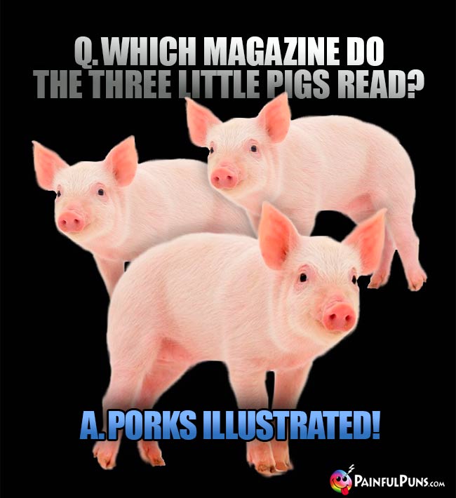 Q. Which magazine do the three little pigs read? A. Porks Illustrated!