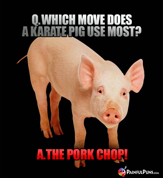 Q. Which move does a karate pig use most? A. The Pork Chop!