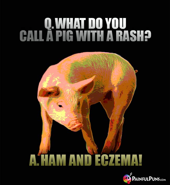 Q. What do you call a pig with a rash? A. Ham and Eczema!