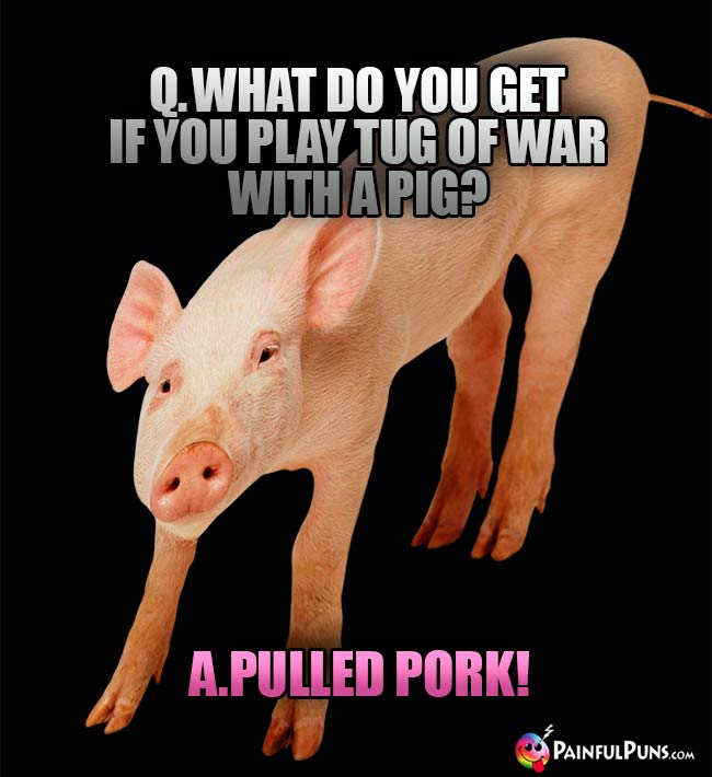 Q. What do you get if you play tug of war with a pig? A. Pulled Pork!