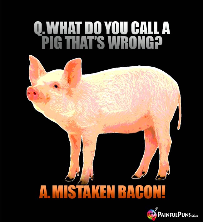 Q. What do you call a pig that's wrong? A. Mistaken Bacon!