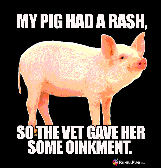 My Pig Had a Rash, So the Vet Gave Her Some Oinkment.
