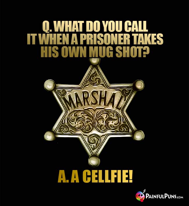 Q. What do you call if when a prisoner takes his own mug shot? A. A cellfie!