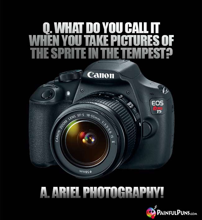 Q. What do you call it when you take pictures of the sprite in the tempest? A. Ariel Photography!