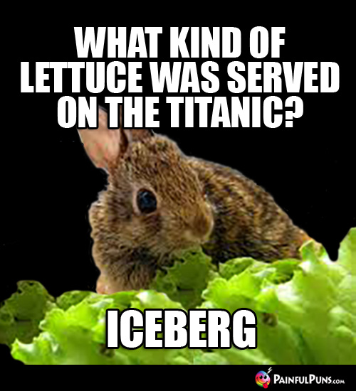 What kind of lettuce was served on the Titanic? Iceberg