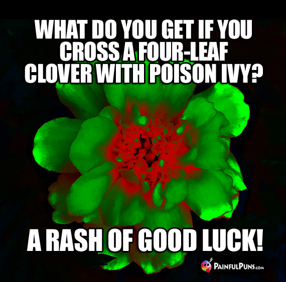 What do you get if you cross a four-leaf clover with poison ivy? A Rash of Good Luck