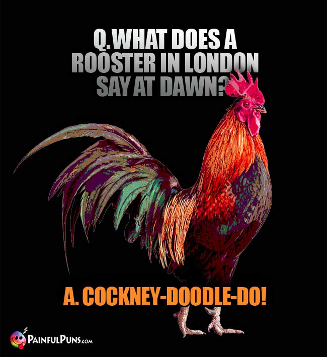 Q. What does a rooster in London say at dawn? A. Cockney-Doodle-do!