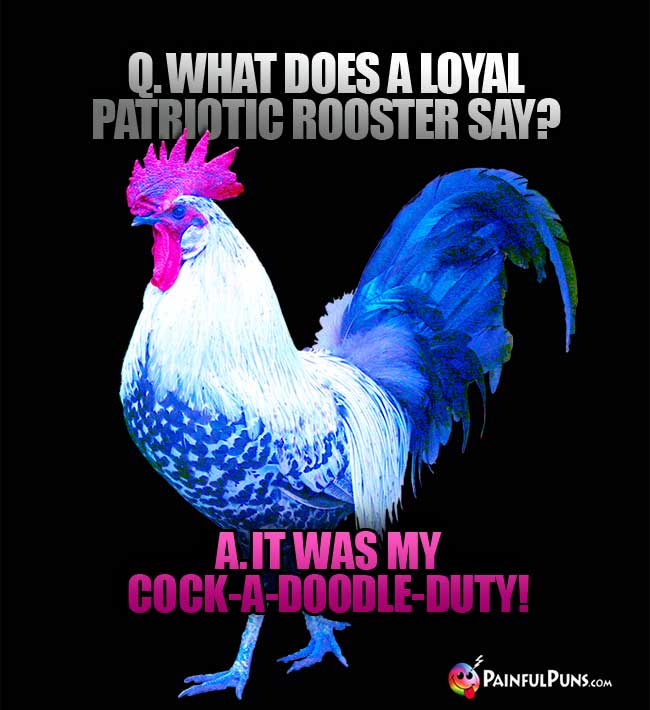 Q. What does a loyal patriotic rooster say? A. It was my cock-a-doodle-duty!