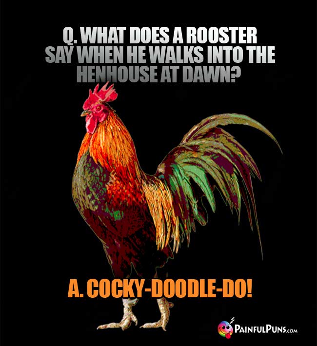Q. What does a rooster say when he walks into the henhhouse at dawn? A. Cocky-doodle-do!
