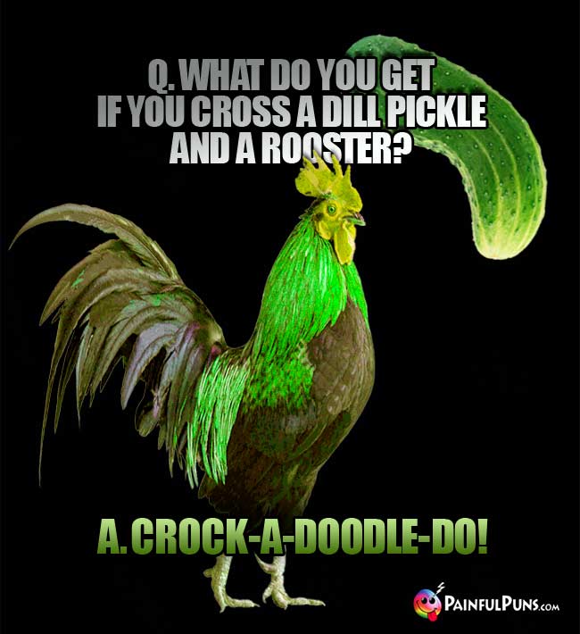 Q. What do you get if you cross a dill pickle and a rooster? a.. Crock-a-doodle-do!