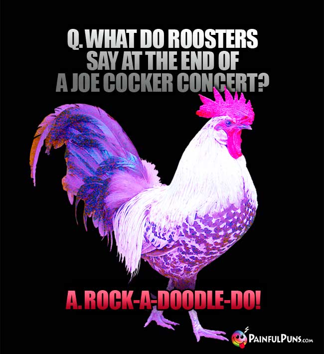 Q. What do roosters say at the end of a Joe Cocker concert? A. Rock-a-doodle-do!