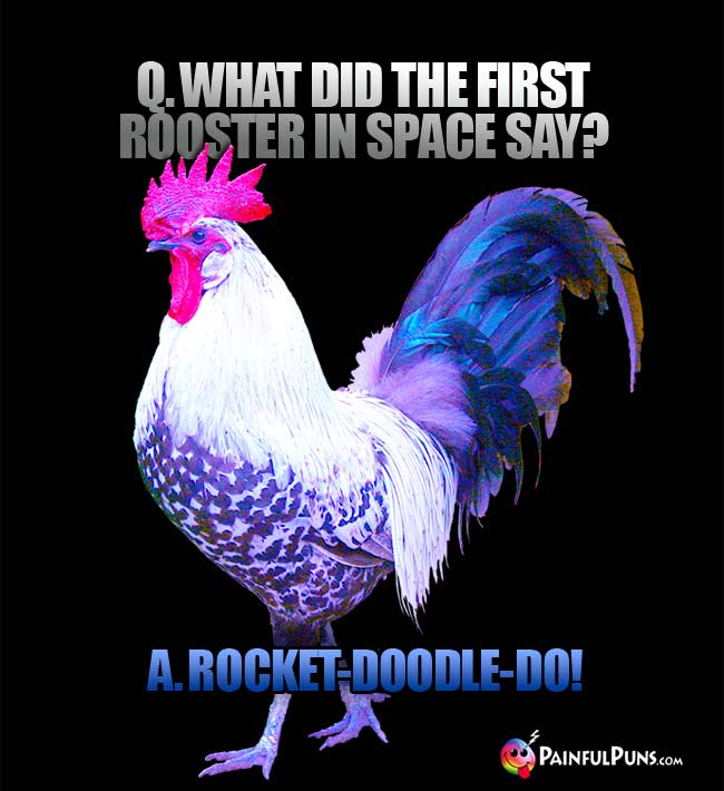 Q. What did the first rooster in space say? a. Rocket-doodle-do!