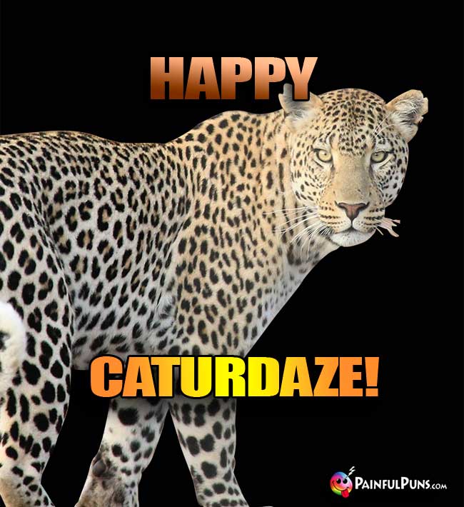 Hypnotic leopard says: Happy CXaturdaze!